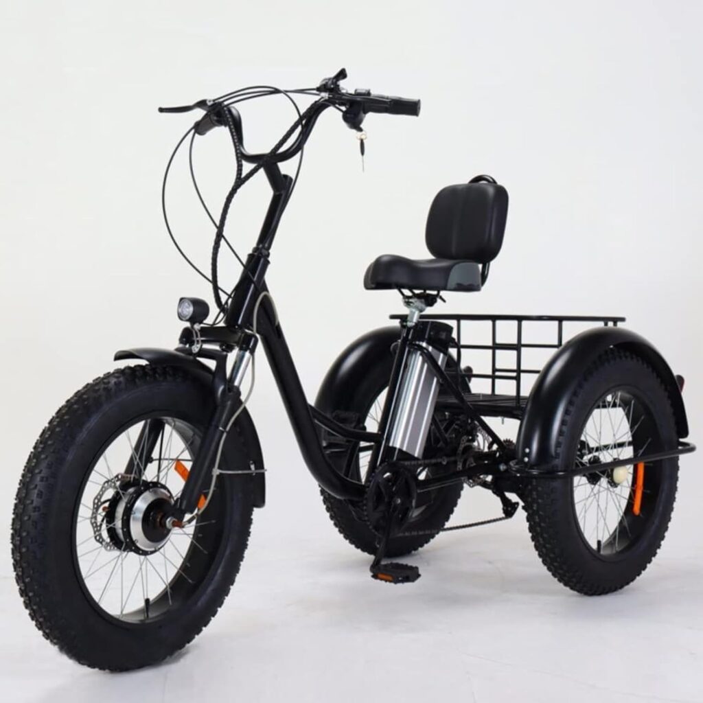 便利100 Outdoor 20 Fat Tyre Electric Bicycle for Adult with 500W Motor, 48V Battery 3 Wheel E-Bike for Seniors Leisure Rides Front Rear Baskets, 7 Speed Farm Vegetables and Fruits Transport 便利100 Outdoor 20 Fat Tyre Electric Bicycle for Adult with 500W Motor, 48V Battery 3 Wheel E-Bike for Seniors Leisure Rides Front Rear Baskets, 7 Speed Farm Vegetables and Fruits Transport