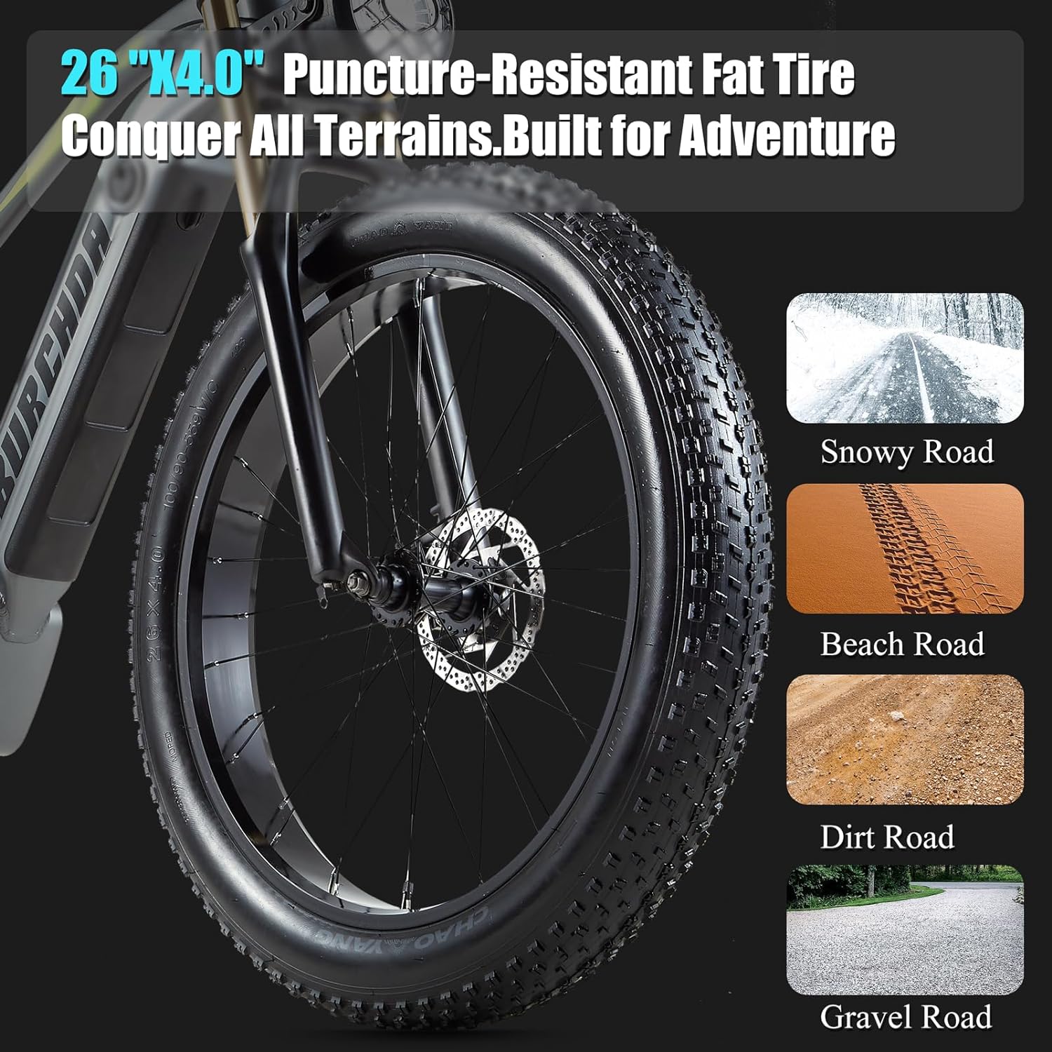 DAMSON Electric Bike 1000W Folding Ebike Review