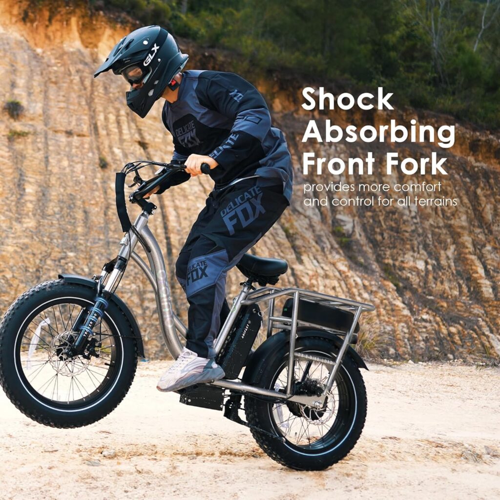 Oraimo Electric Bike for Adults, 750W Motor (Peak 1000W) 20 x 4.0 Fat Tire with Dual Shock Absorber, Max 48V 20.8Ah Dual Removable Battery, Ebike with 4A 3H Fast Charge, Complies to ANSI/CAN/UL2849