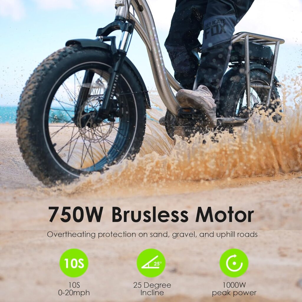 Oraimo Electric Bike for Adults, 750W Motor (Peak 1000W) 20 x 4.0 Fat Tire with Dual Shock Absorber, Max 48V 20.8Ah Dual Removable Battery, Ebike with 4A 3H Fast Charge, Complies to ANSI/CAN/UL2849