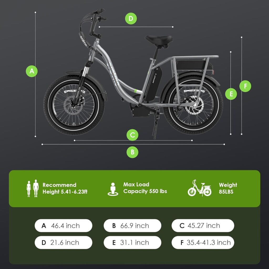 Oraimo Electric Bike for Adults, 750W Motor (Peak 1000W) 20 x 4.0 Fat Tire with Dual Shock Absorber, Max 48V 20.8Ah Dual Removable Battery, Ebike with 4A 3H Fast Charge, Complies to ANSI/CAN/UL2849