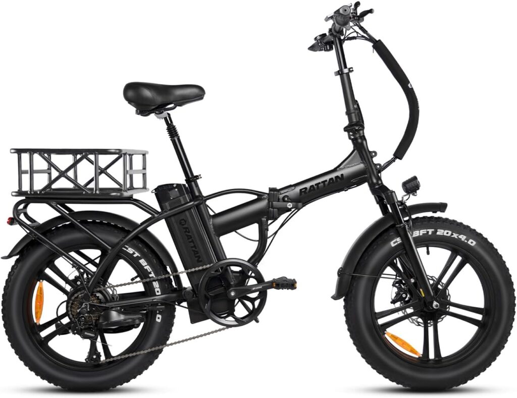 Rattan 750W Electric Bike for Adults 48V 13AH Removable Battery Foldable Electric Bikes LM/LF Pro Ebike 20 x 4.0 Fat Tire Electric Bicycles 2 Seater