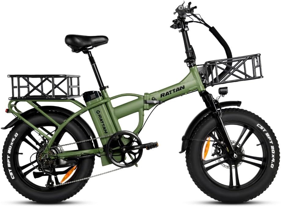 Rattan 750W Electric Bike for Adults 48V 13AH Removable Battery Foldable Electric Bikes LM/LF Pro Ebike 20 x 4.0 Fat Tire Electric Bicycles 2 Seater