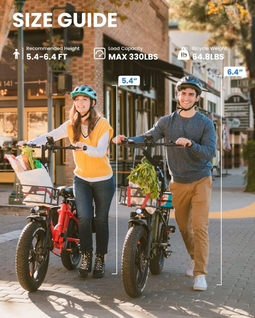 Rattan 750W Electric Bike for Adults 48V 13AH Removable Battery Foldable Electric Bikes LM/LF Pro Ebike 20 x 4.0 Fat Tire Electric Bicycles 2 Seater