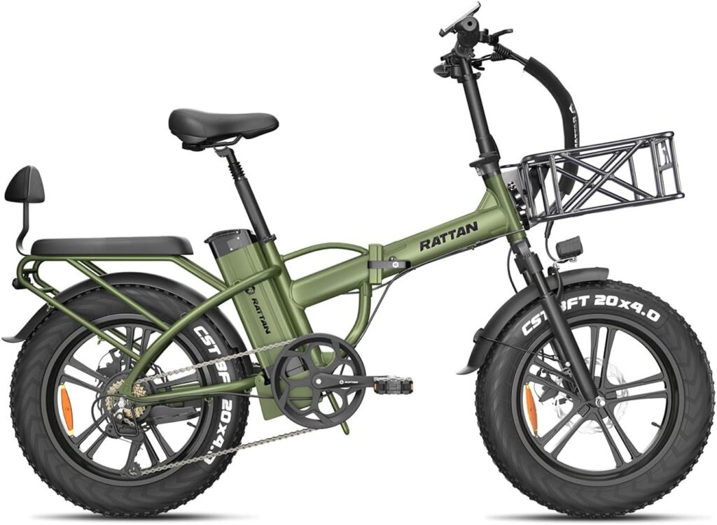 Rattan 750W Electric Bike for Adults 48V 13AH Removable Battery Foldable Electric Bikes LM/LF Pro Ebike 20 x 4.0 Fat Tire Electric Bicycles 2 Seater