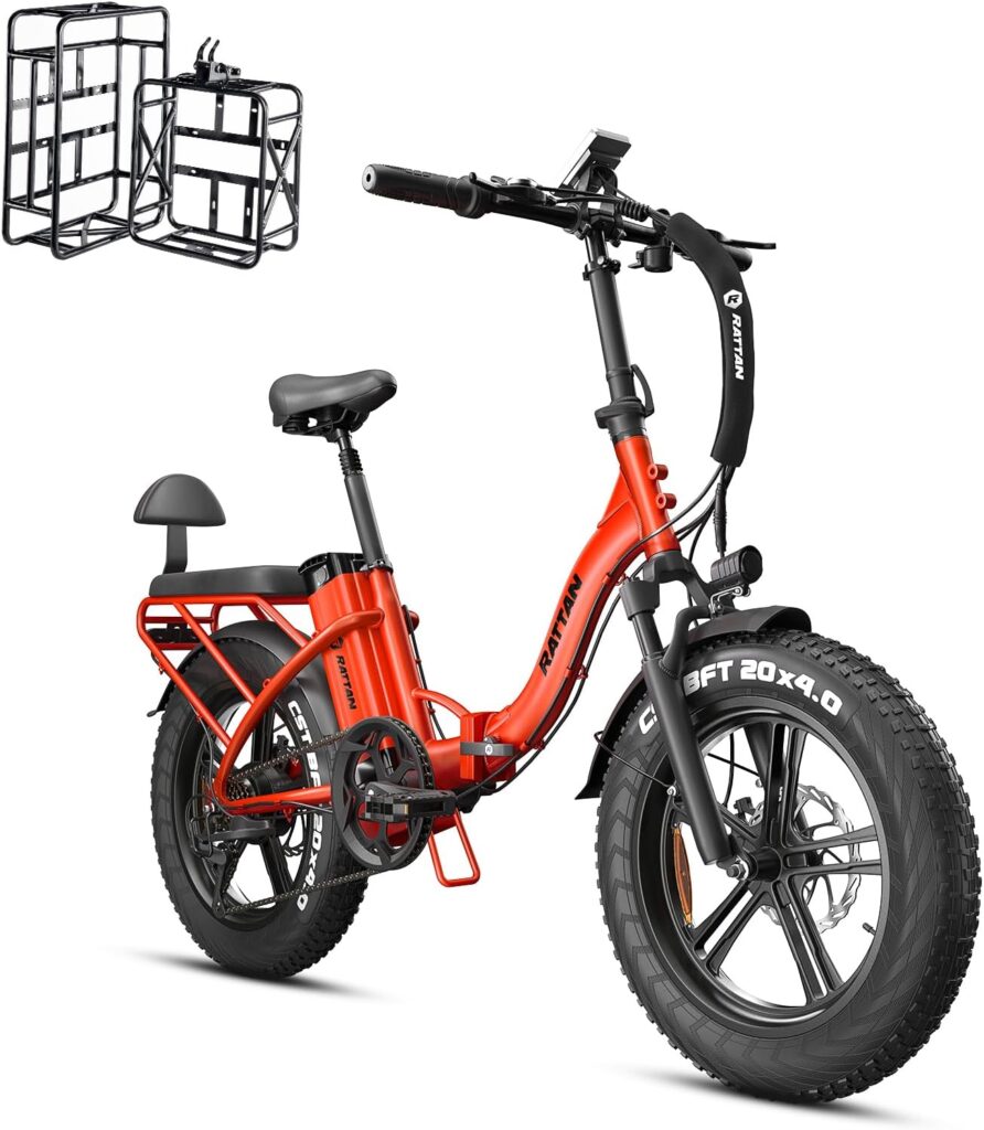 Rattan 750W Electric Bike for Adults 48V 13AH Removable Battery Foldable Electric Bikes LM/LF Pro Ebike 20 x 4.0 Fat Tire Electric Bicycles 2 Seater