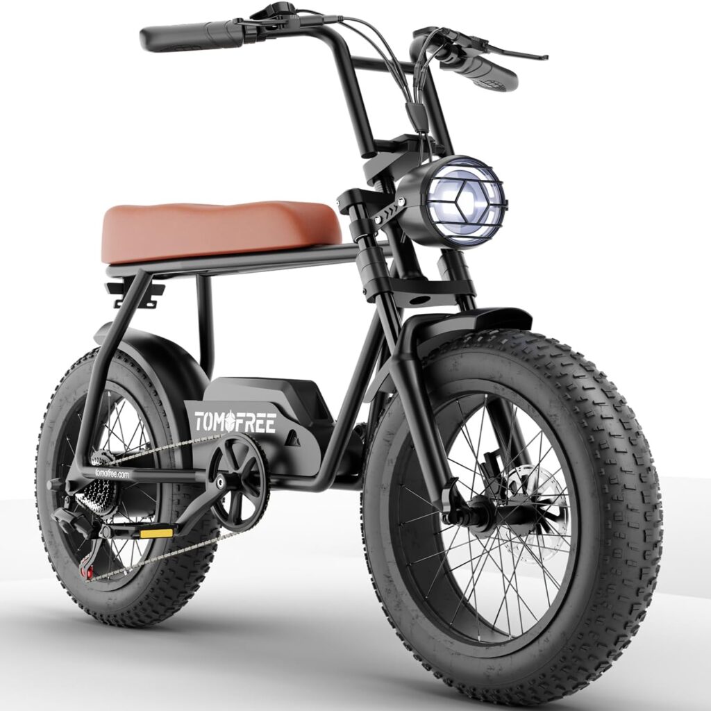 Electric Bike for Adults, 1200W Powerful Motor 48V/20Ah,40Miles Long Range, Max Speed 25MPH, Ebike Fat Tire Electric Bicycle, Front Suspension Dual Hydraulic Brakes Electric Bike for Adults, 1200W Powerful Motor 48V/20Ah,40Miles Long Range, Max Speed 25MPH, Ebike Fat Tire Electric Bicycle, Front Suspension Dual Hydraulic Brakes