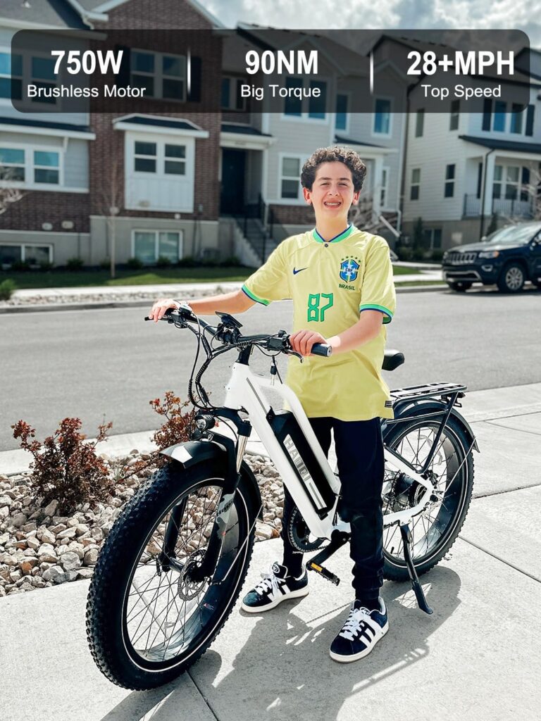 HAOQI Leopard Pro Electric Bike for Adults, 750W Brushless Motor Mountain Bike,48V 20AH Removabl Battery,26 x 4.0 Fat Tire Ebike with 28MPH, 7-Speed